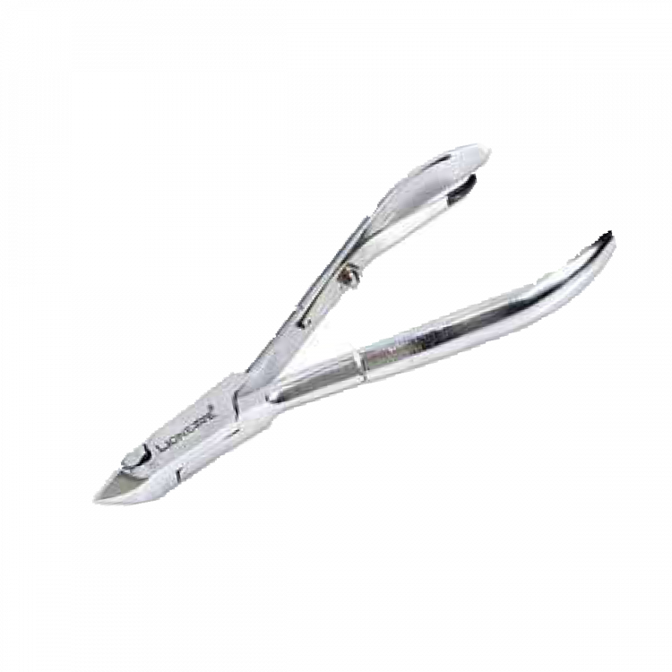 Lionesse Et Pensi 171 N